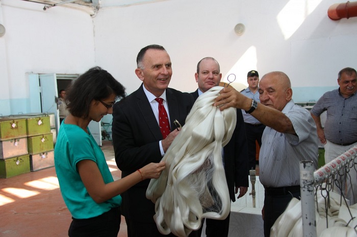 Israeli ambassador tours industrial enterprises in Shaki 